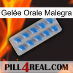 Gelée Orale Malegra 22